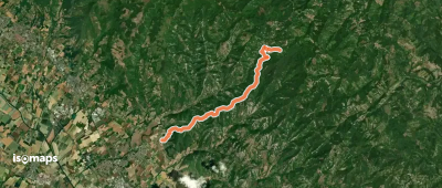 OSM Route 13736103