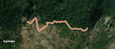 OSM Route 13739897