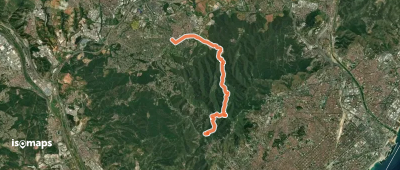 L'Obaga de Collserola
