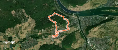 DVV Binger Wald Römervilla Rheinblick 7
