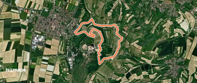 Ringsheimer Genussrunde