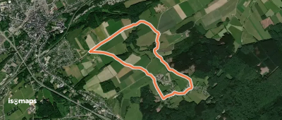 5. Promenade Jonquille