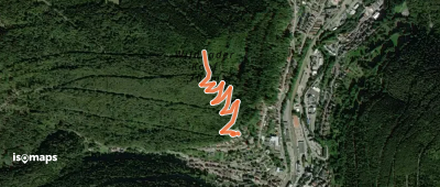 Paulinenhöhe - Wildbader Kopf