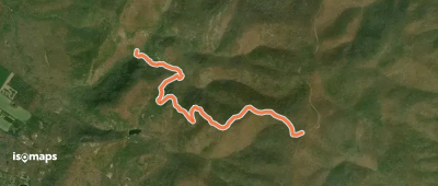 Wildcat Ridge Trail
