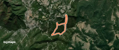 Бела стаза