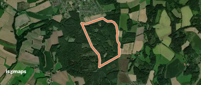 Rundwanderweg A1 [Diestelbruch]