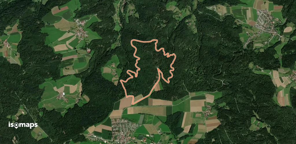 Brucher Waldrundweg