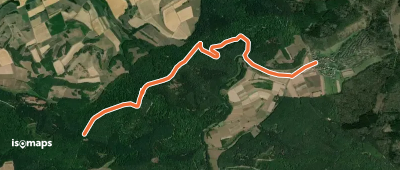 OSM Route 14003259