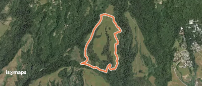 Eucalyptus Loop