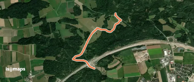 Zubringer Wildschwein / Theuerbronn / Wettringen
