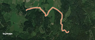 Brendenwaldweg - Burdharzwald