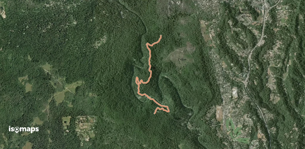 Rincon Fire Road
