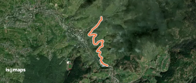 Bühlertal Tourist-Information - Liehenbach