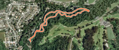 Redwood Lower Loop