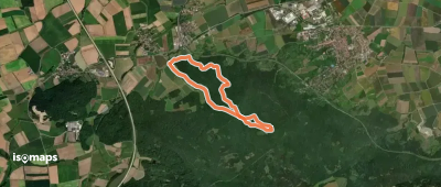 Bachstelze