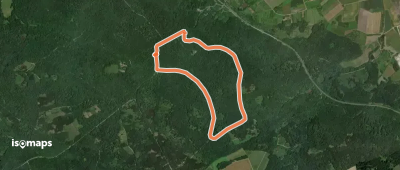 Hirschkäfer