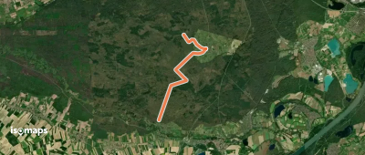 Wildkatzenweg