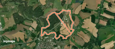 Rundweg Lützeltal - Buchenwald