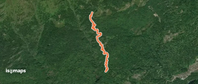 C08c - bivio C10 - Alpe Pradurino