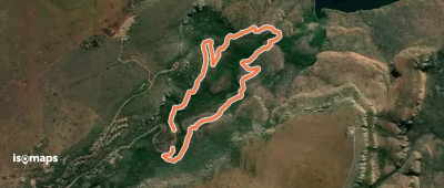 Guinea-fowl trail