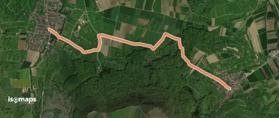 blaue Raute Hepsisau Bissingen