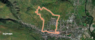 Weinweg Langenlois