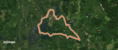 Syrjänalusen lenkki