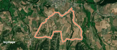 Talló Pi Vilella Coborriu Riu