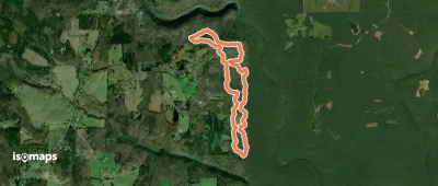 Gilliam Loop