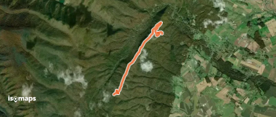 Festival Trail