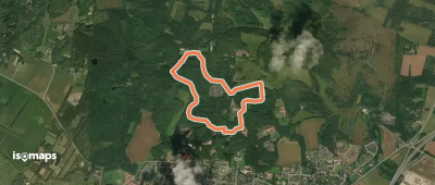 Gul Rute Hammer Bakker