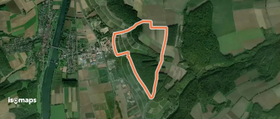 Rundwanderweg H 6 Himmelstadt "Blauer Turm