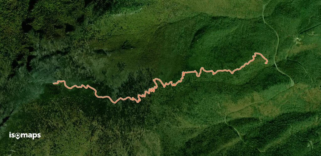 Daniel Boone Scout Trail