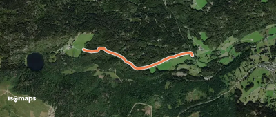 Bei der Zipfelsäge - Steiertenschlag