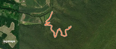 Pawpaw Hollow Trail