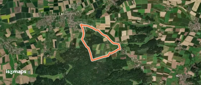 Trail 5