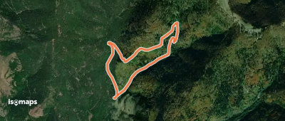 Circuit de Braun
