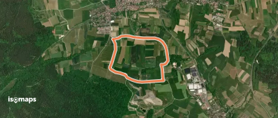 Rote Raute bei Kalchreuth