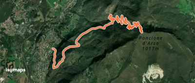 OSM Route 14450428