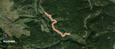 Finsterbühl - Gatterwald
