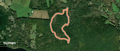 Main Loop