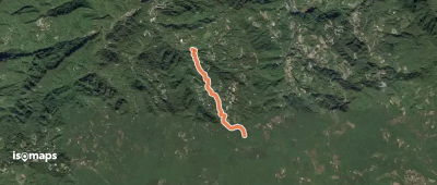 四分子古道