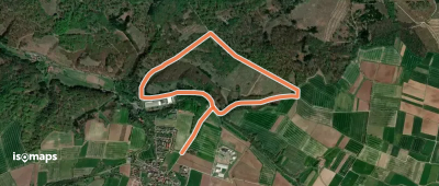 Reyershausen 3