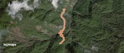 鎮西堡巨木群步道