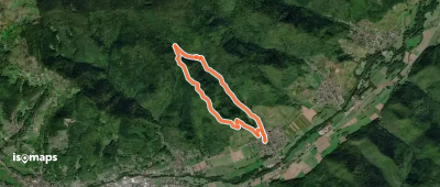 Circuit Krizle