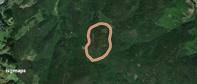 Circuit Vorhofkopf
