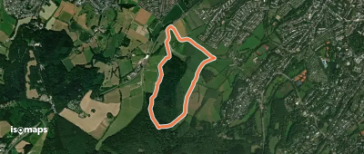 Waldrundweg Orange 6