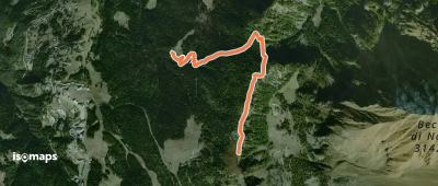 OSM Route 14599228