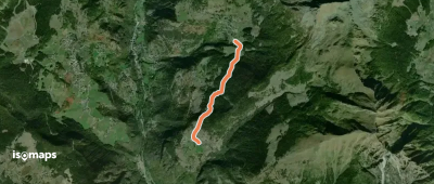 OSM Route 14611359