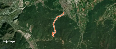 OSM Route 14629930